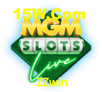 Premium Interface ZZwin